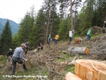 GreenConnect project: highlighting possible socio-economic effects of activities fostering ecological connectivity