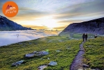 Alpine Peatlands: A Key Strategy to Absorb CO2?