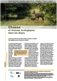 Implement measures to improve ecological connectivity – hints for local actors!