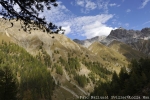 ALPARC presents political demands during the Alpine Conference