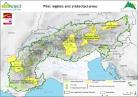 Thematic maps