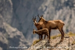 International photo contest “Fotografare il Parco” – Registration is open