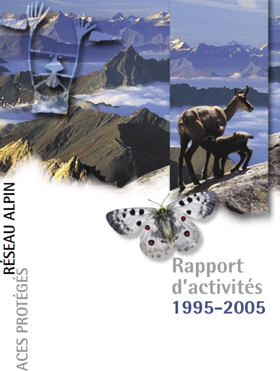 Activity Report: 1995-2005