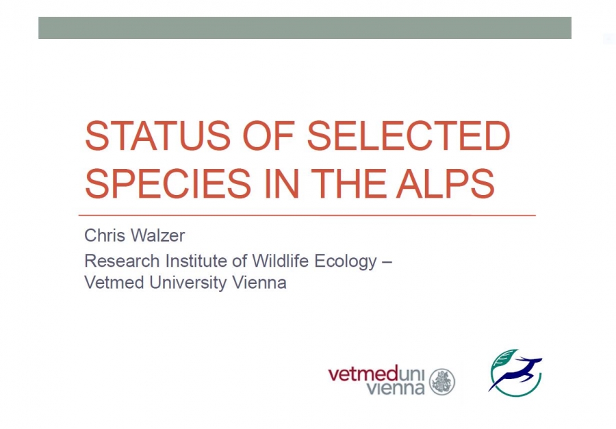 PowerPoint Presentations: ALPARC Workshop &quot;Wildlife and Connected Habitats”